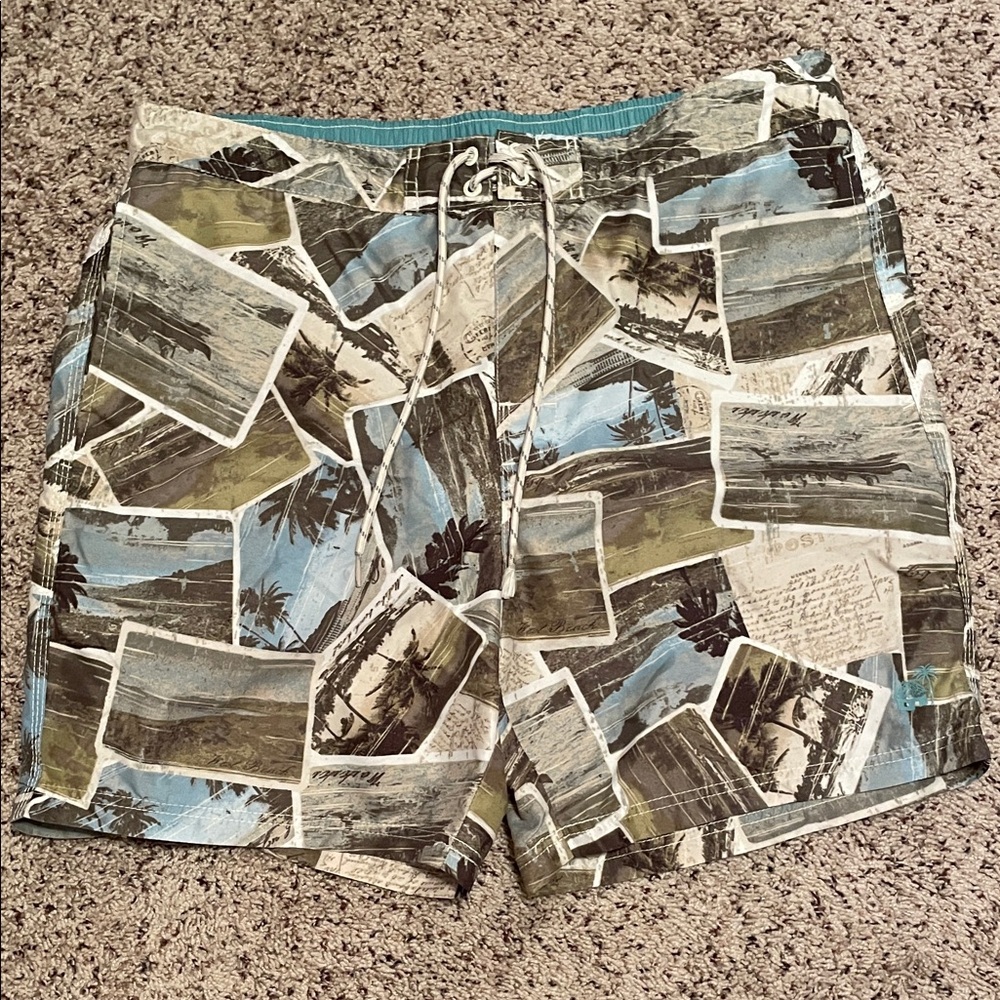 Caribbean Joe Scenic Print Men's Hybrid Shorts